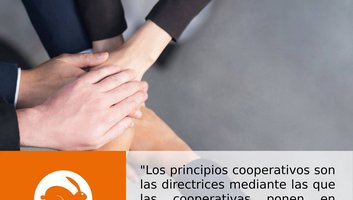 Imagen destacada para PRINCIPIOS COOPERATIVOS